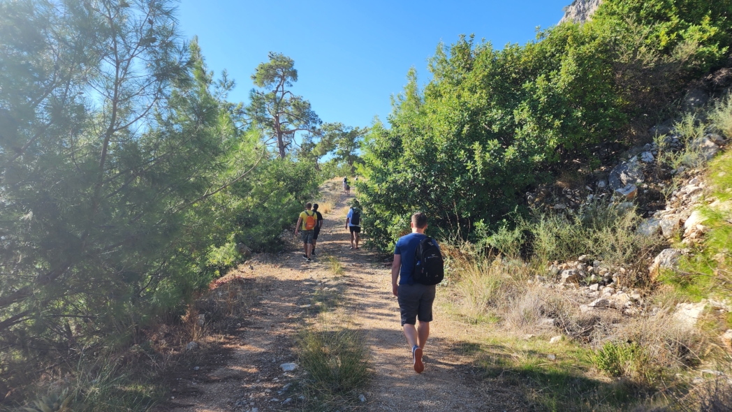 Тунектепе канат 🐕