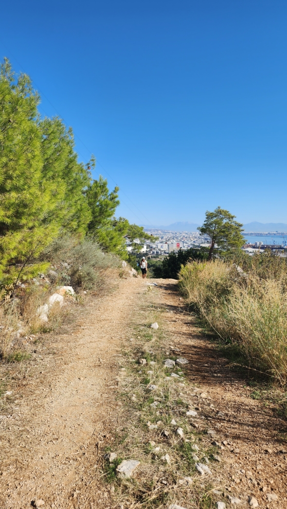 Тунектепе канат 🐕