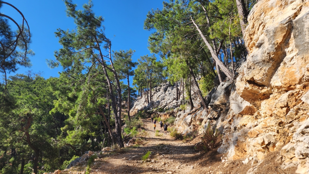 Тунектепе канат 🐕