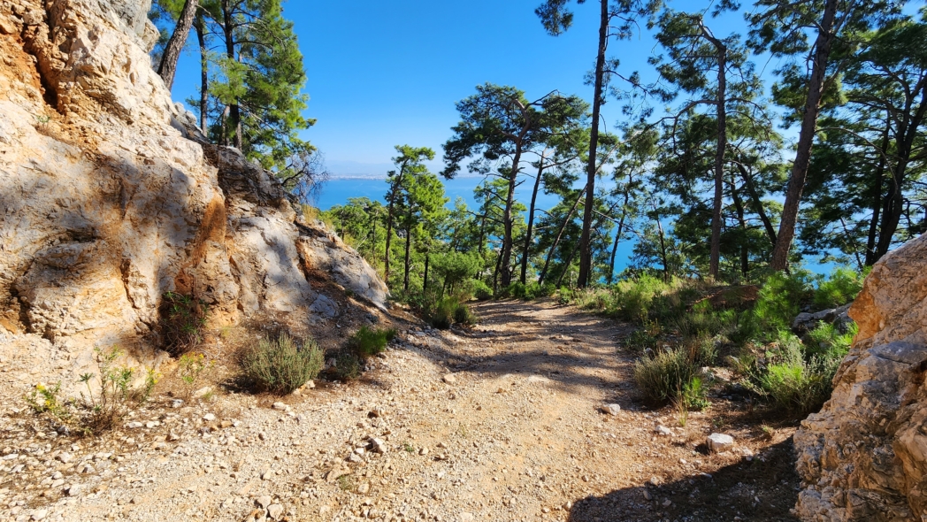 Тунектепе канат 🐕