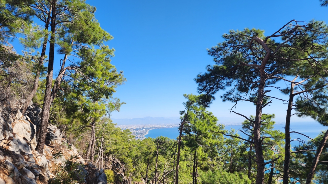 Тунектепе канат 🐕