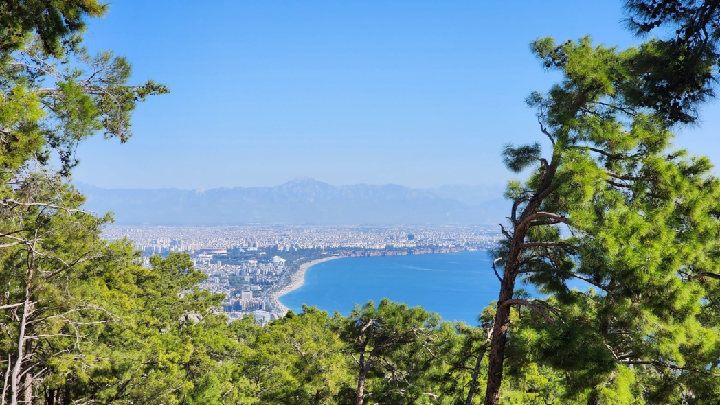 Тунектепе канат 🐕