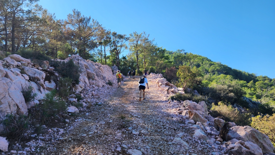 Тунектепе канат 🐕