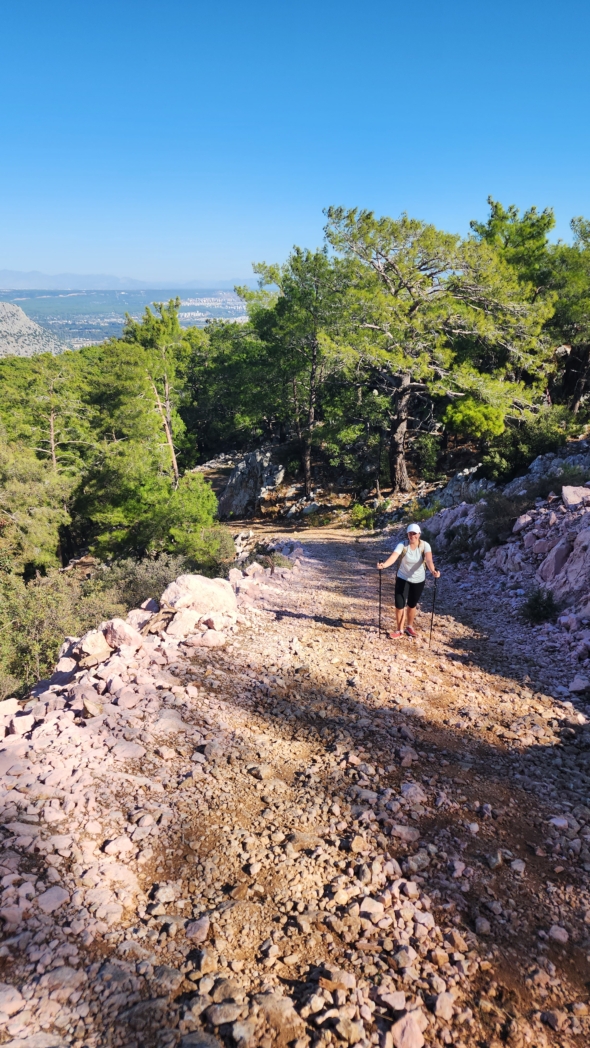 Тунектепе канат 🐕