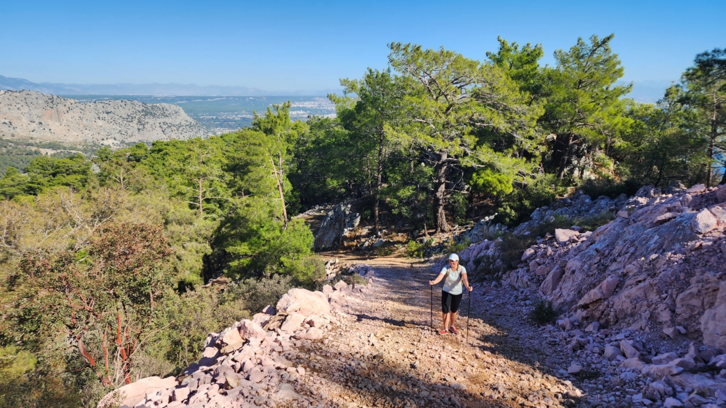 Тунектепе канат 🐕