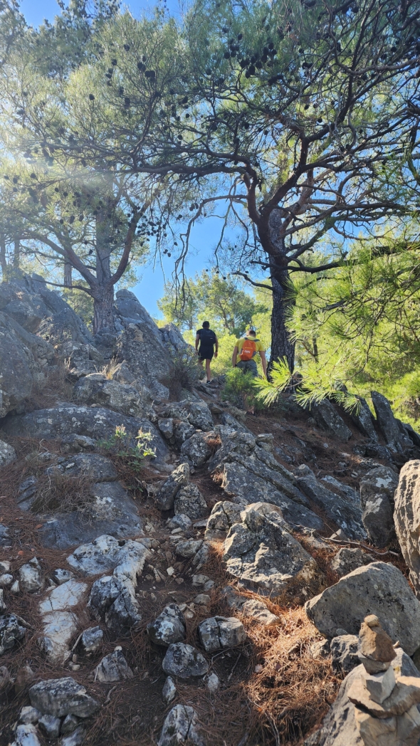 Тунектепе канат 🐕