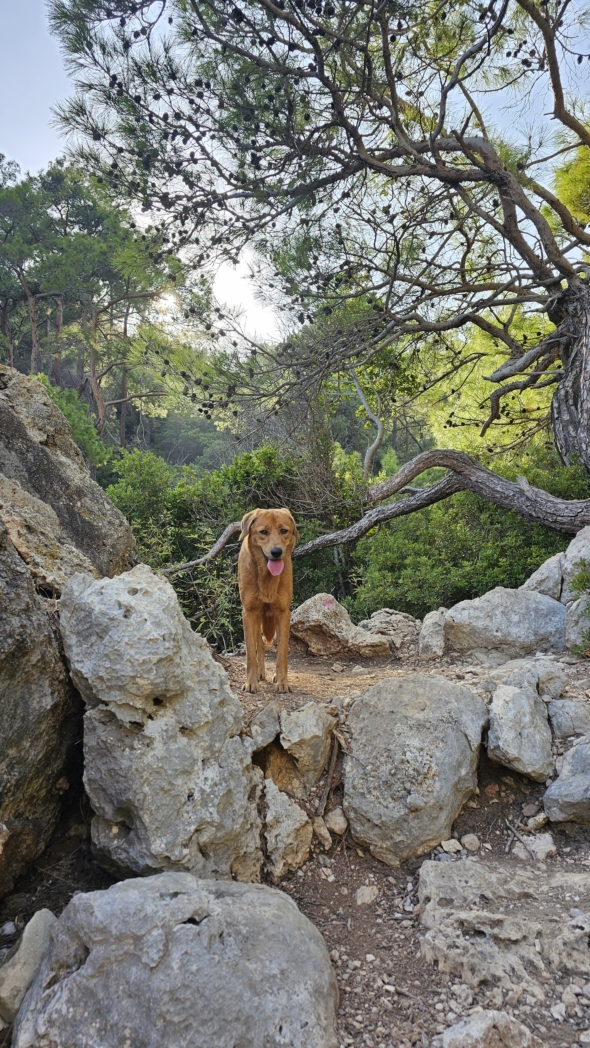 Kemer – Çalış, Taş Koyu