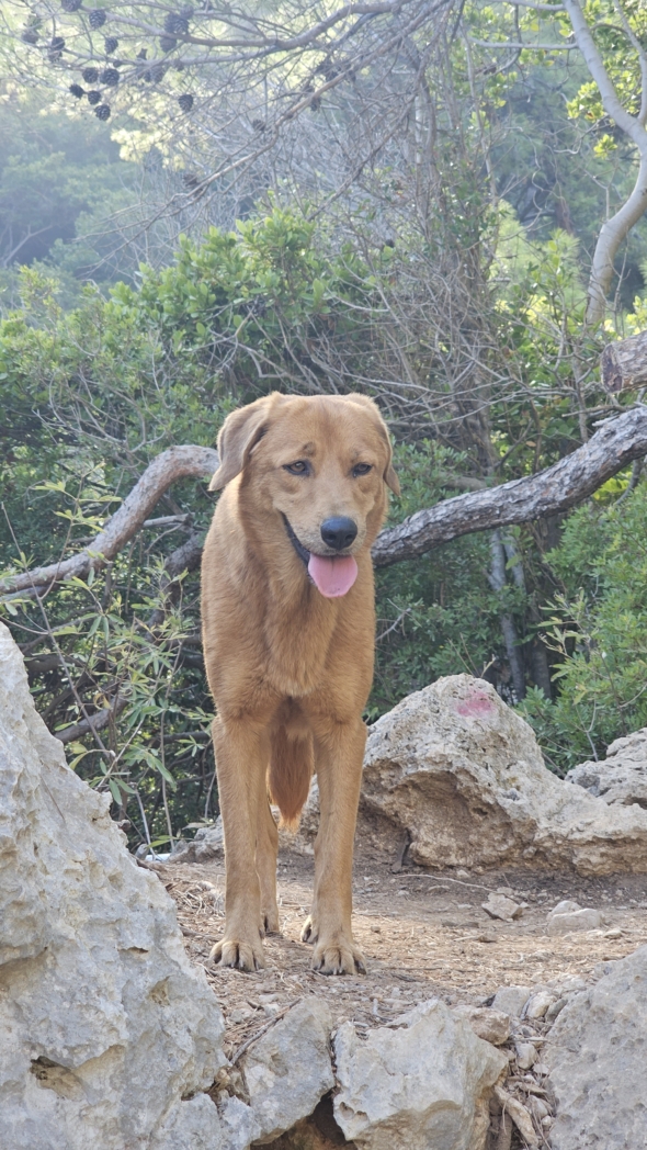 Kemer – Çalış, Taş Koyu