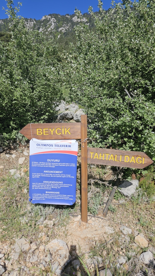 Фото из похода