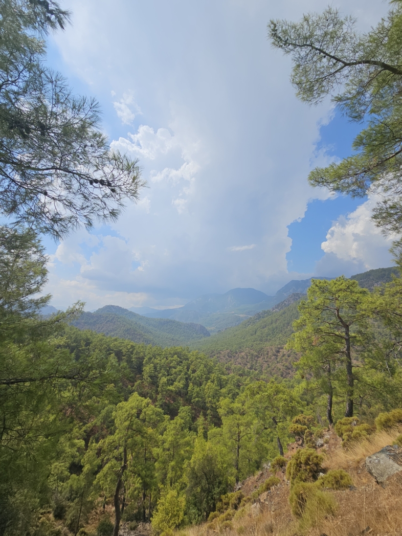 Фото из похода