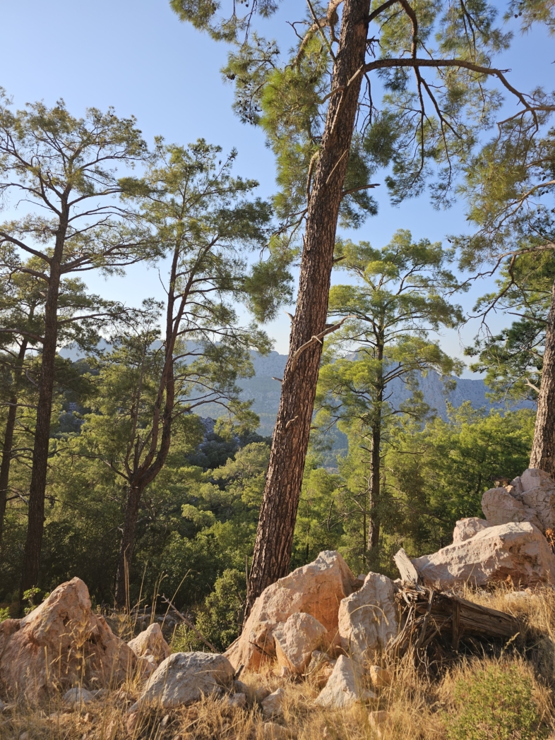 Фото из похода