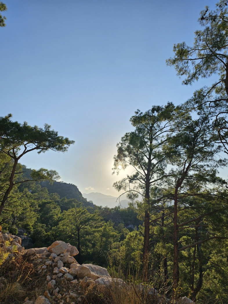 Фото из похода