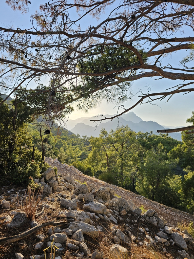 Фото из похода