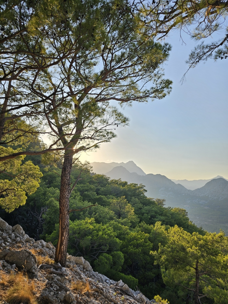 Фото из похода