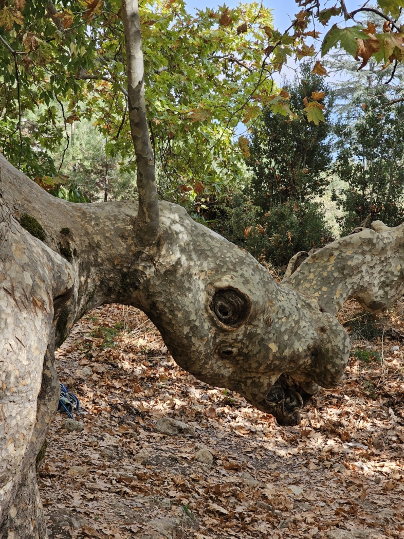 Фото из похода