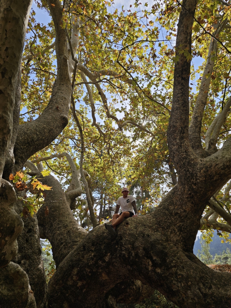 Фото из похода