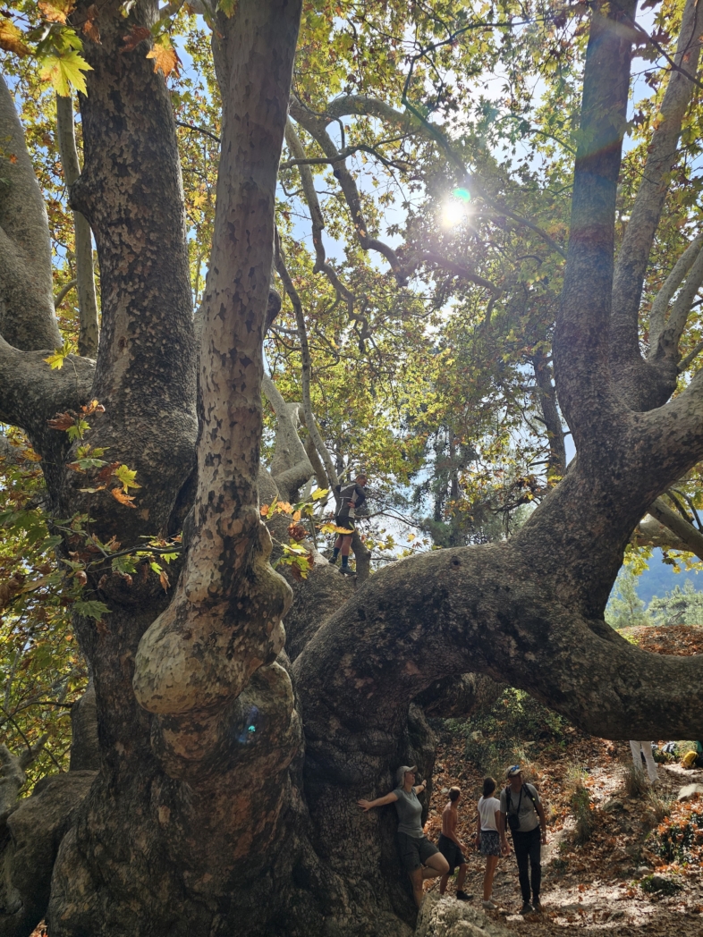 Фото из похода