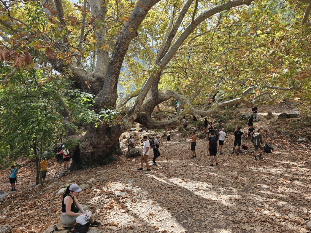 Фото из похода