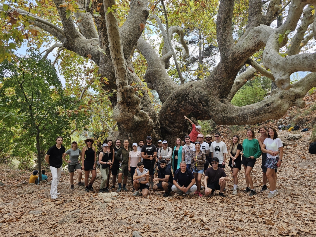 Групповое фото - Платан - мост🌳