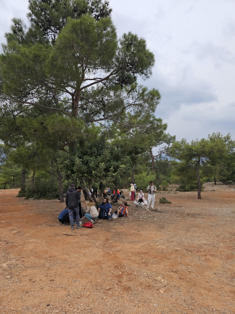 Гувер каньон 🌧️