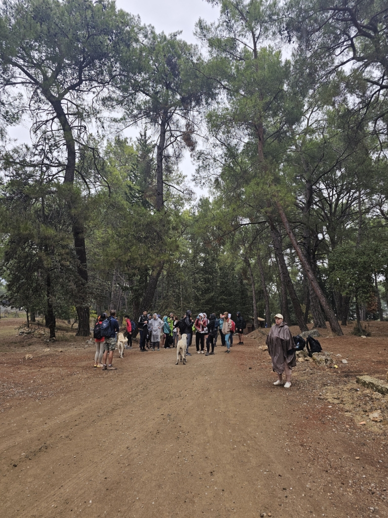 Гувер каньон 🌧️