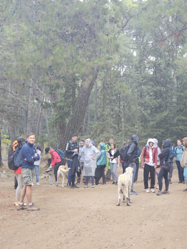 Гувер каньон 🌧️