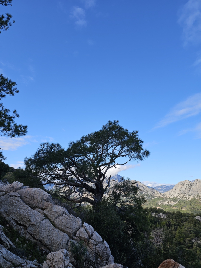 Фото из похода