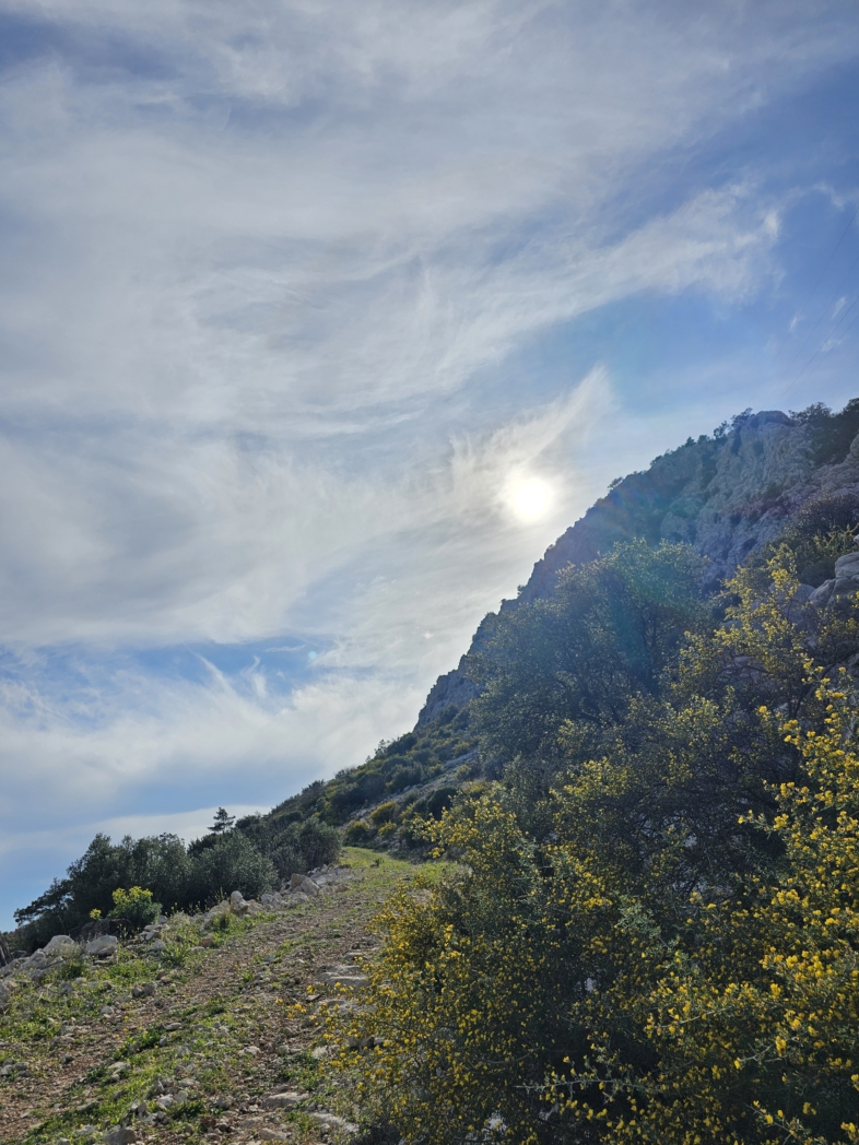 Фото из похода