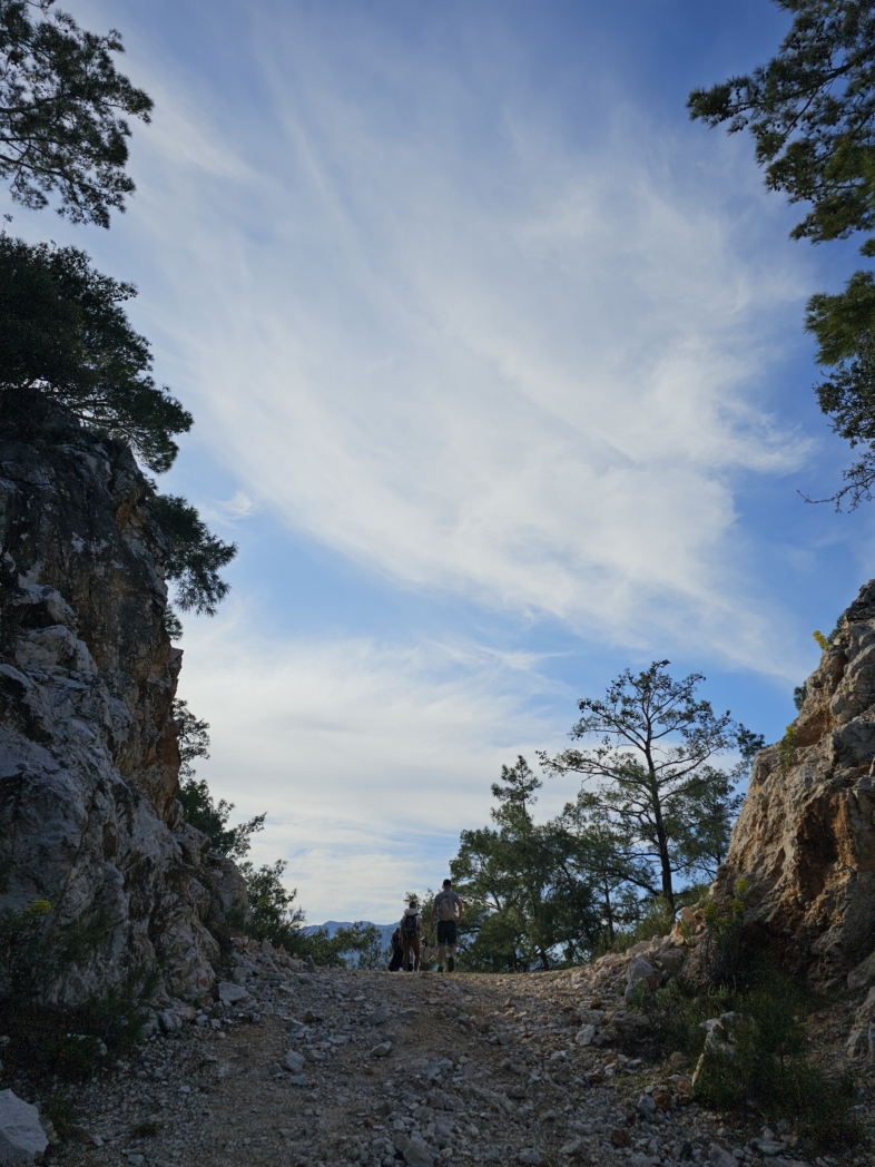 Фото из похода