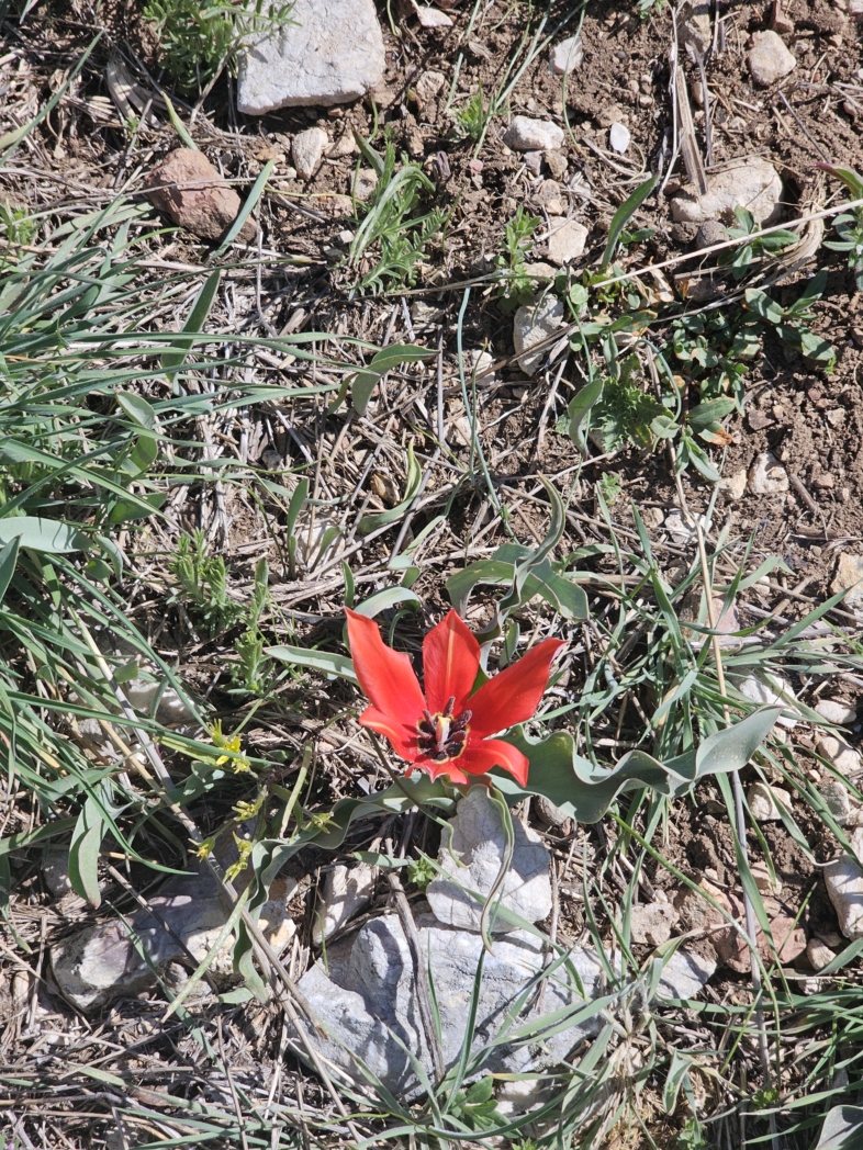 Фото из похода