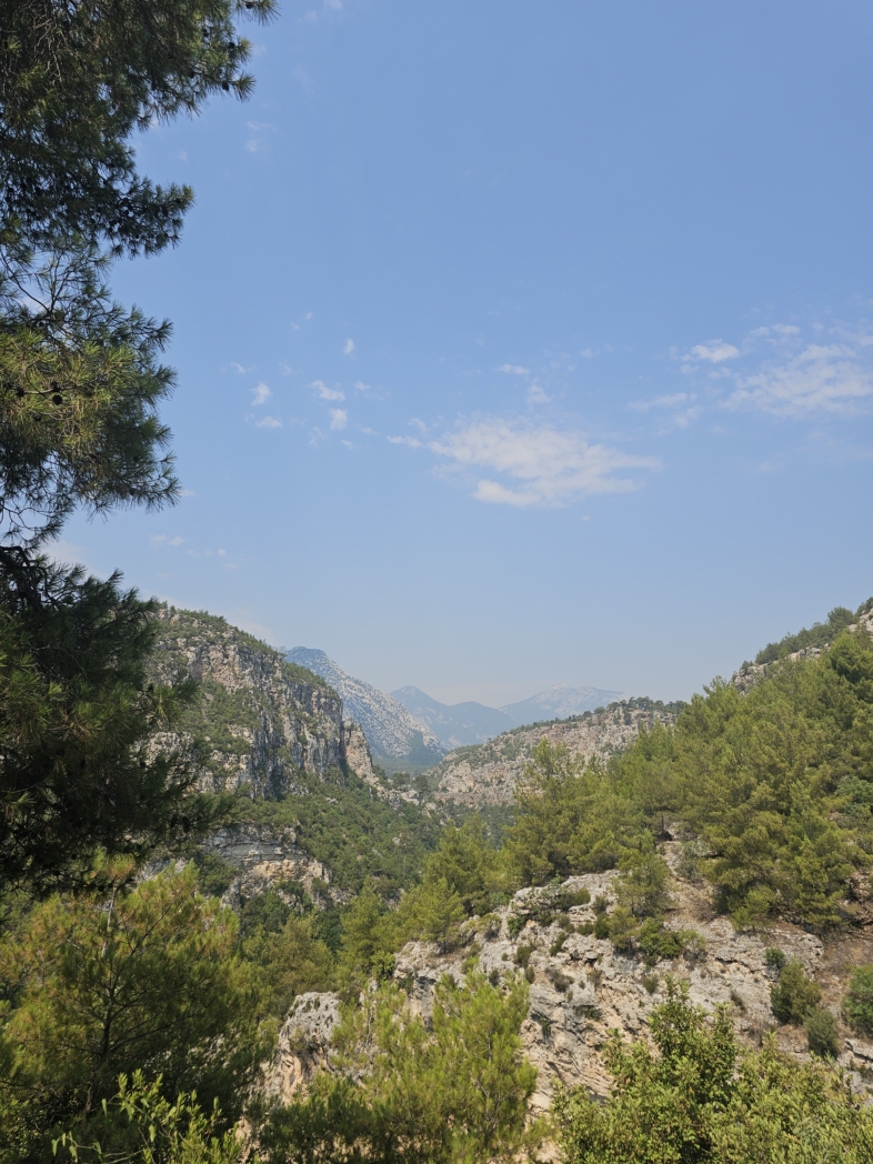 Фото из похода