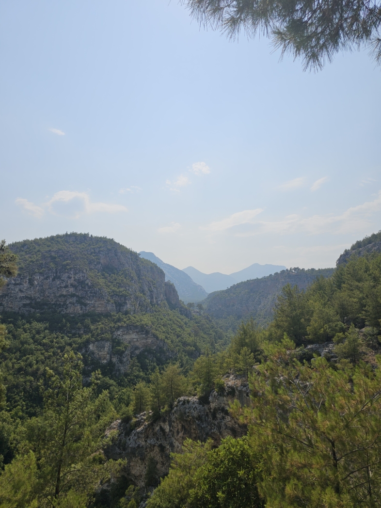 Фото из похода