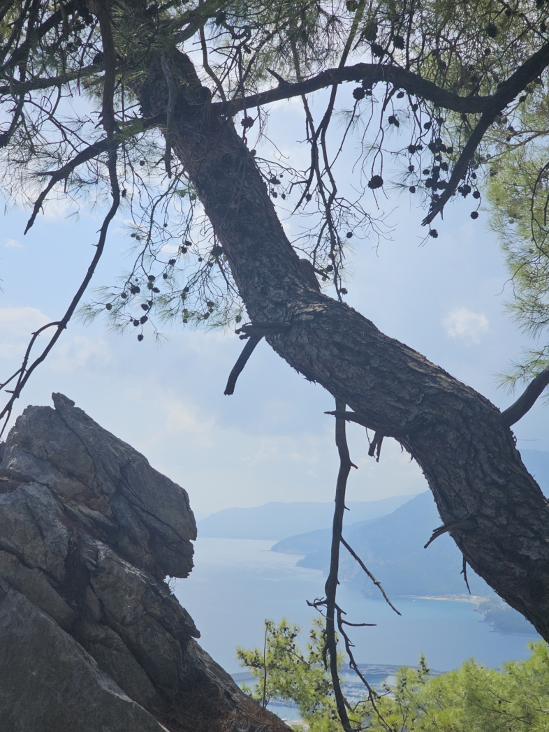 Фото из похода