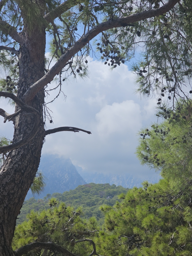 Фото из похода