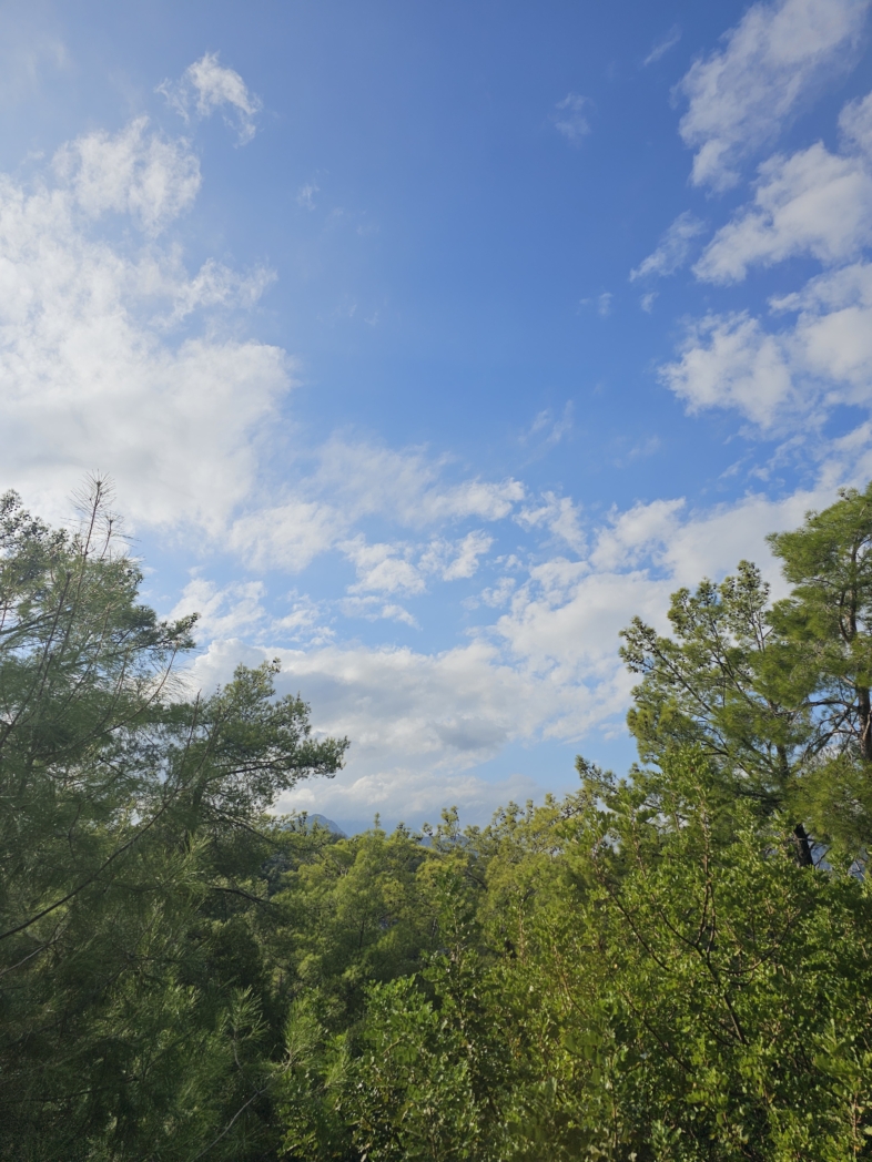 Фото из похода