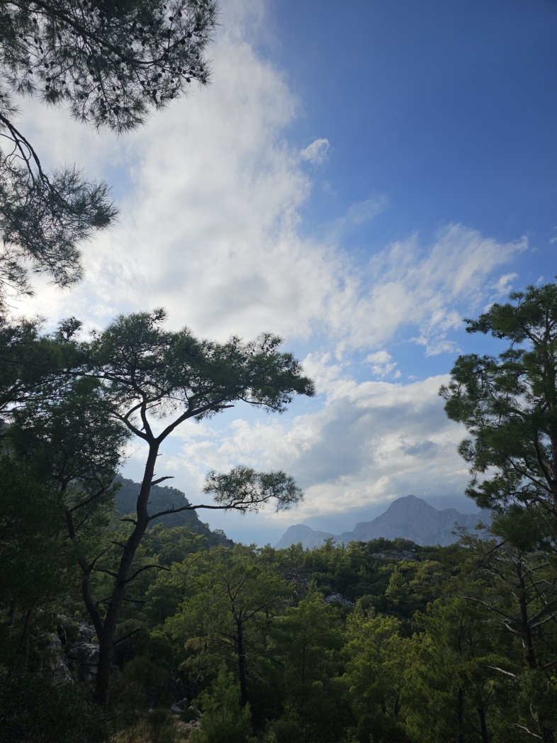 Фото из похода