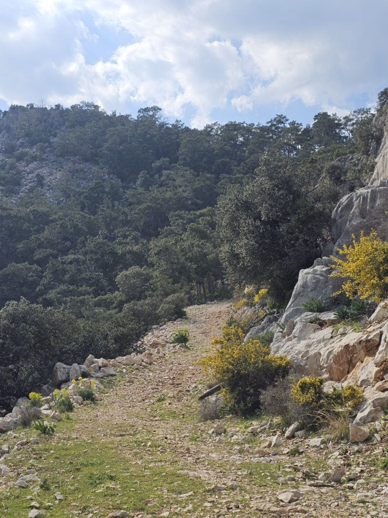 Фото из похода