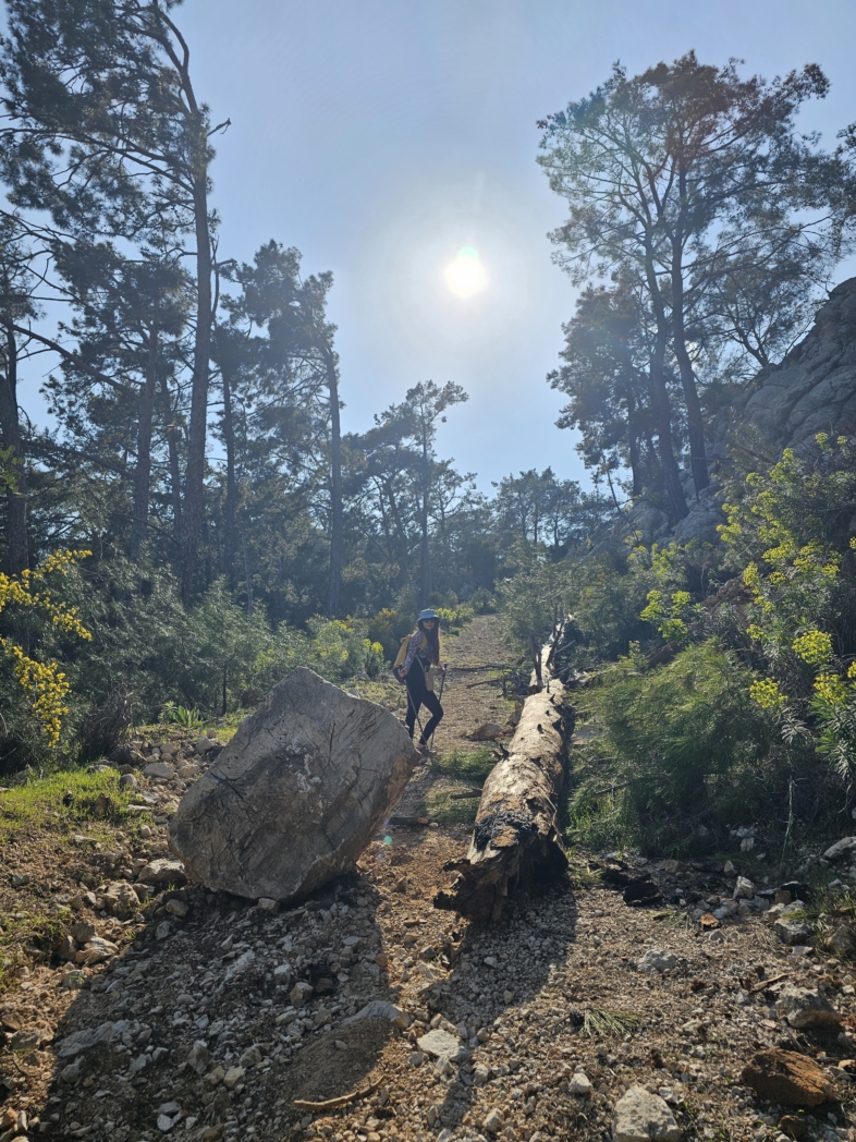 Фото из похода