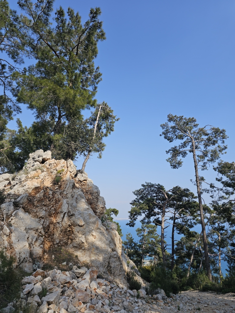 Фото из похода