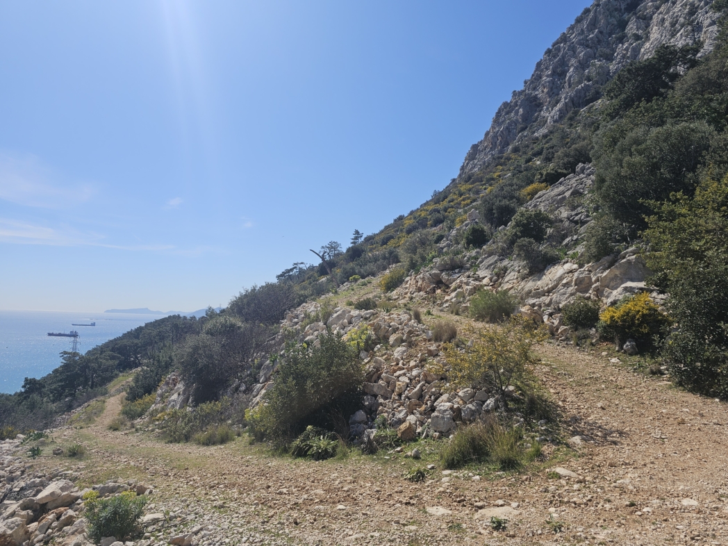 Фото из похода