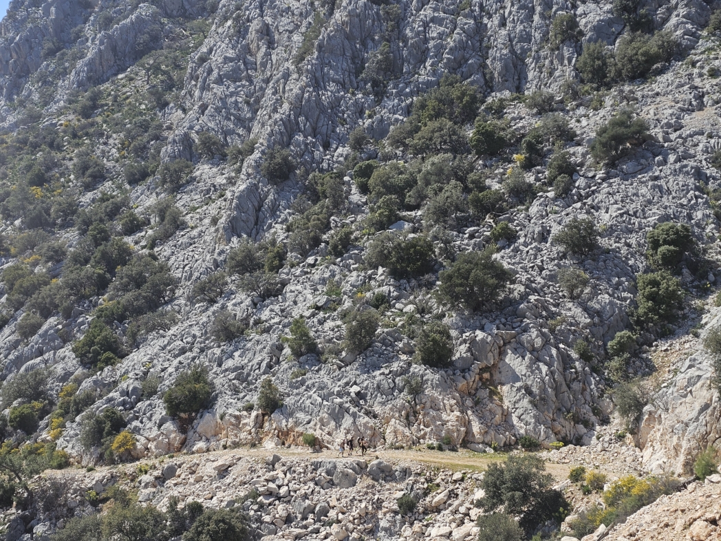 Фото из похода